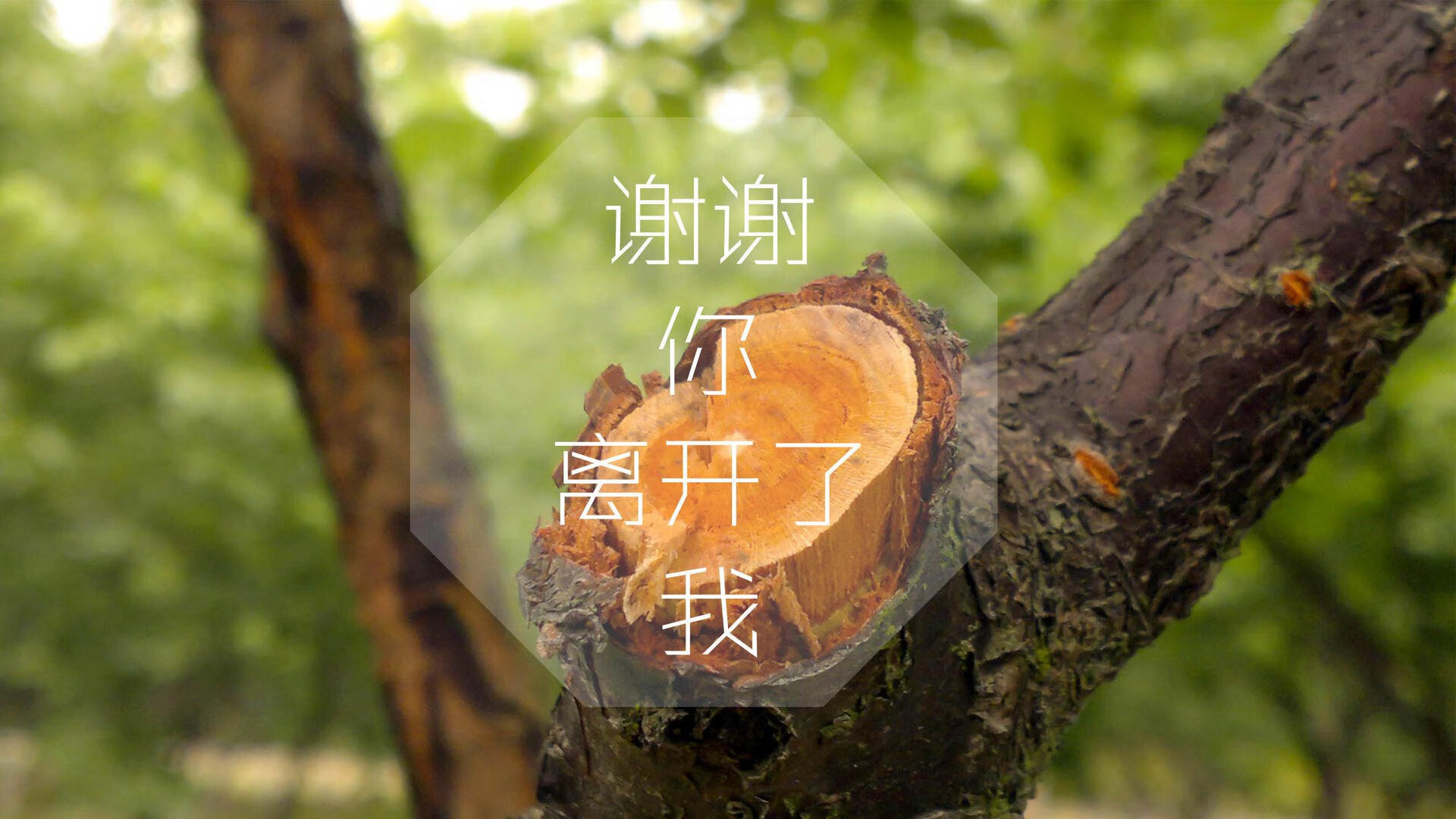 “西甲豪门破纪录，场面令人震撼”，西甲豪门七大豪门