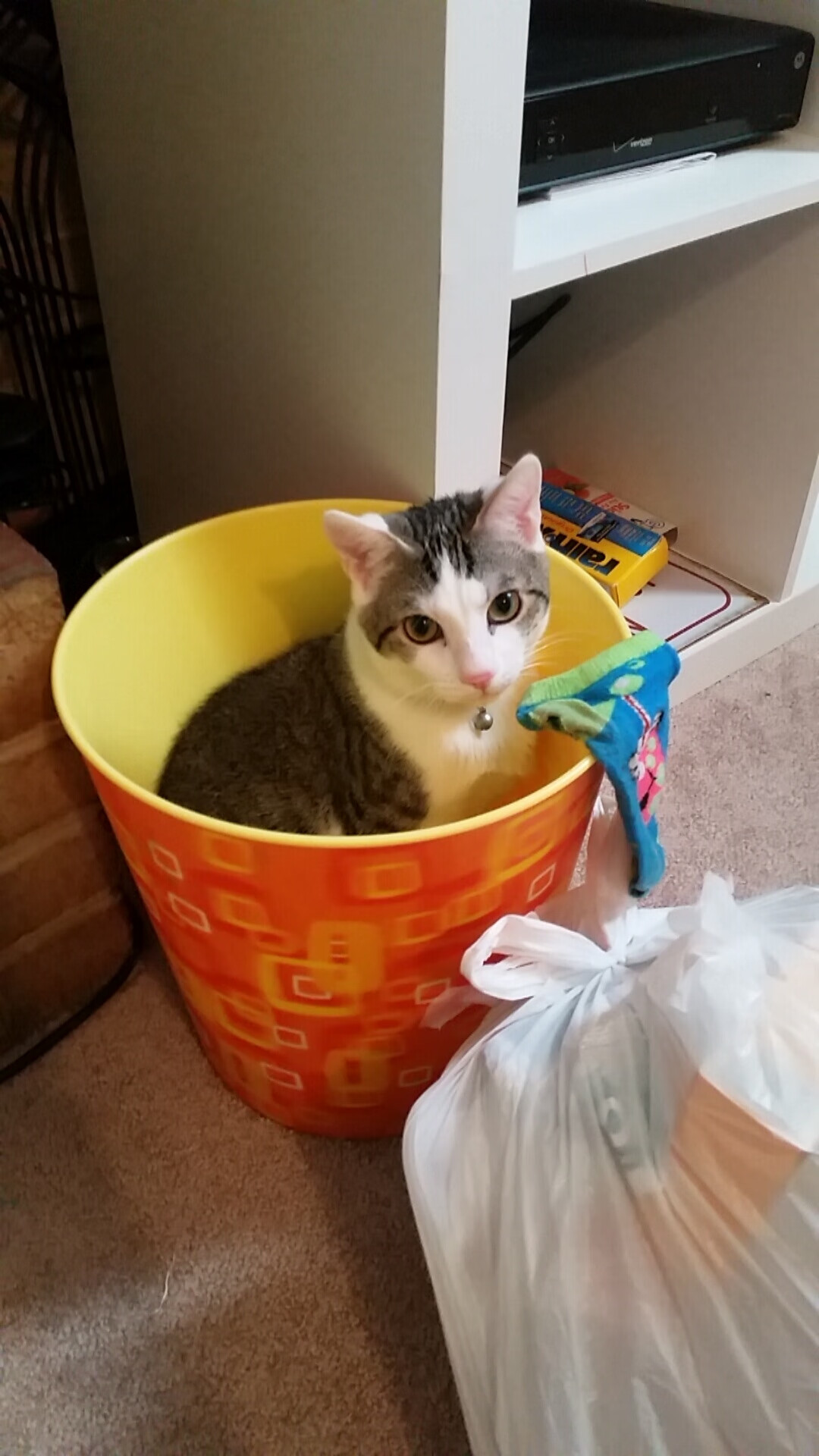 全明星周末活动安排曝光,球迷期待,全明星周末什么时候开始